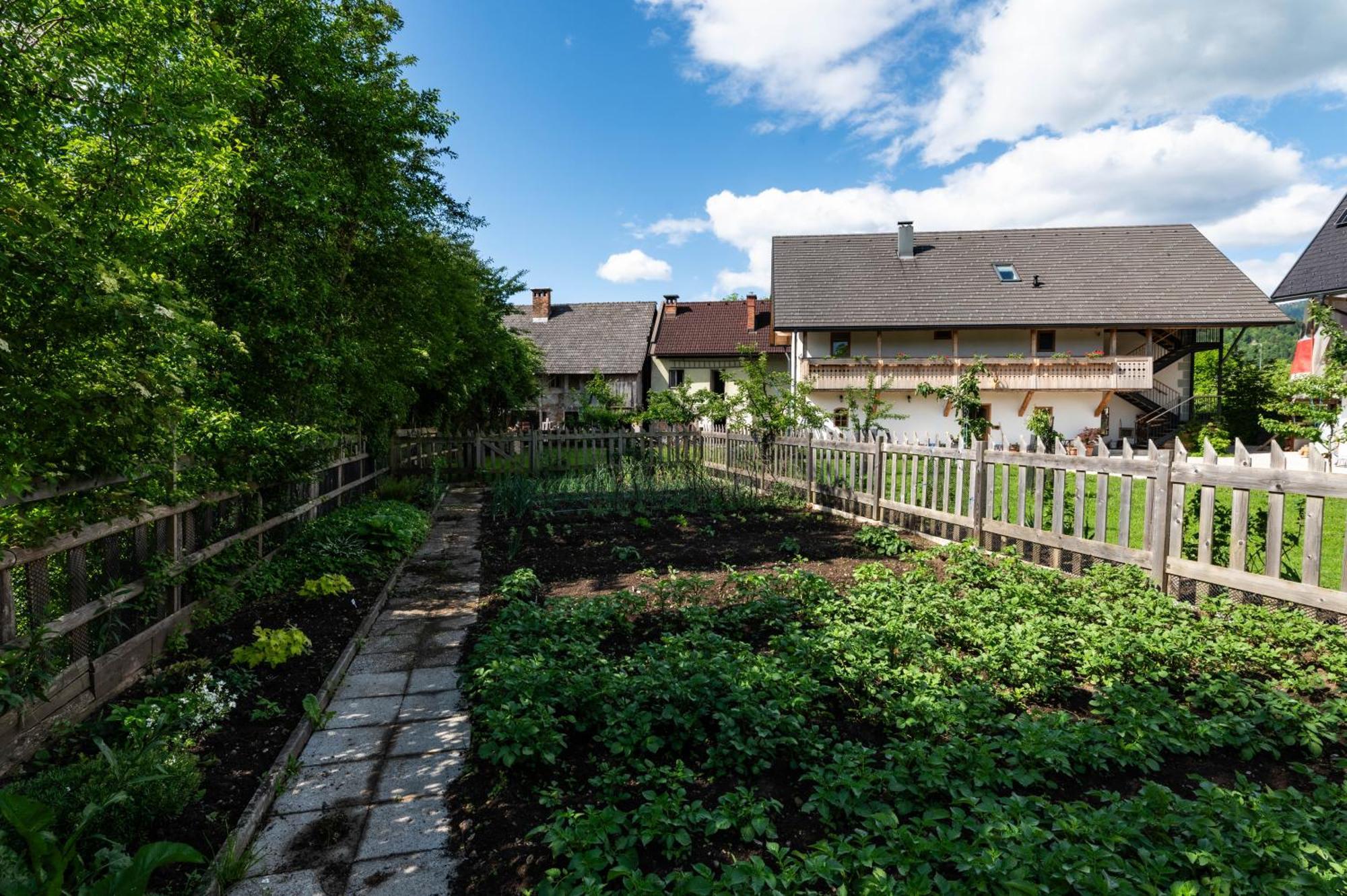Villa Turisticna Kmetija Grabnar à Bled Extérieur photo